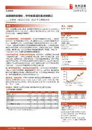 2020年三季报点评:业绩保持高增长,华中区域成为重点突破口