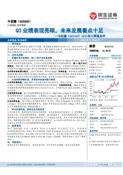 2020年三季报点评：Q3业绩表现亮眼，未来发展看点十足