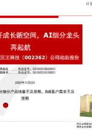 公司动态报告:绘画业务打开成长新空间,AI细分龙头再起航