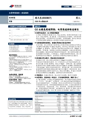 2020年三季报点评：Q3业绩表现超预期，电商渠道持续高增长