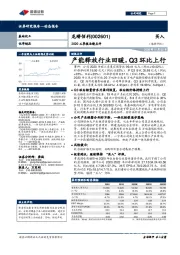 2020三季报业绩点评：产能释放行业回暖，Q3环比上行