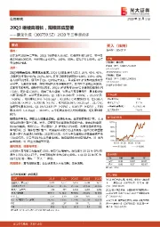 2020年三季报点评：20Q3继续高增长，规模效应显著