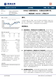 三季报点评：2020Q3业绩短期承压，长期成长逻辑不变