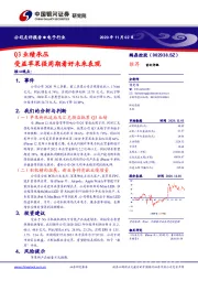 Q3业绩承压 受益苹果强周期看好未来表现