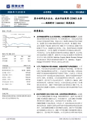 深度报告：显示材料龙头企业，成功开拓医药CDMO业务