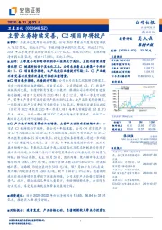 主营业务持续完善，C2项目即将投产