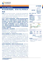 炼化板块促盈利,资本开支巩固龙头地位