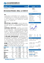 新品延迟发布扰动收入增速，Q4有望回升