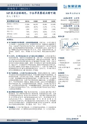 SiP技术全球领先，卡位苹果赛道业绩可期