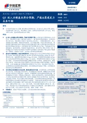 2020年三季报点评：Q3收入业绩基本符合预期，产能&渠道发力未来可期