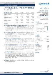 ePTFE膜龙头企业，“中国戈尔”有望崛起