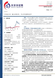 三季报点评：Q3业绩优秀，多点布局静待花开