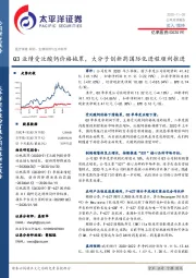 Q3业绩受泛酸钙价格拖累,大分子创新药国际化进程顺利推进