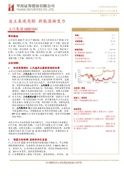自主表现亮眼 新能源渐发力