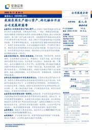 我国农药生产核心资产,两化融合开启公司发展新篇章
