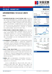 品类&渠道双轮驱动 凤爪龙头步入新成长