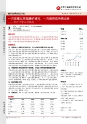 利尔化学点评报告：一方面建立草铵膦护城河，一方面夯实传统业务