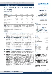 双十一GMV同增40%+,股权激励+智能工厂未来可期
