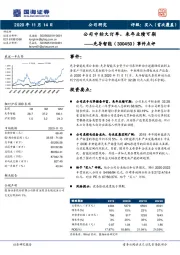 事件点评：公司中标大订单，来年业绩可期