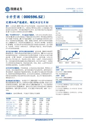 定增加码产能建设，锚定双百亿目标