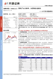 公司首次覆盖报告:聚焦产业互联网,运营服务高增长