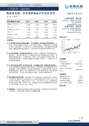 现金流充裕，补齐原料短板打开成长空间