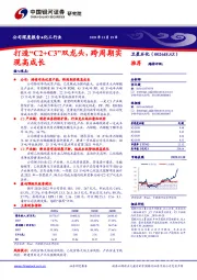 打造“C2+C3”双龙头，跨周期实现高成长