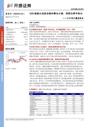 公司首次覆盖报告：SEB赋能打造厨房整体解决方案，深耕品牌年轻化