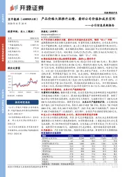 公司信息更新报告：产品价格大涨推升业绩，看好公司价值和成长空间