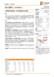 山西国改受益标的，深化炼焦煤主业发展