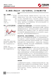 东山精密三季报点评：大客户备货延迟，Q4软板增长可期