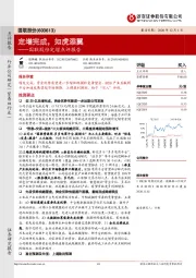 国联股份定增点评报告:定增完成,如虎添翼