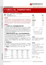 利尔化学点评报告：Q4业绩同比大增，草铵膦高景气将维系