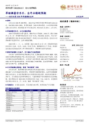 利尔化学2020年年报预告点评：草铵膦量价齐升，全年业绩超预期