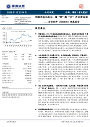 深度报告：钢铁信息化龙头，踏“物”腾“云”开启新征程