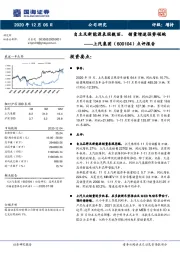 点评报告：自主及新能源表现靓丽，销量增速强势领跑