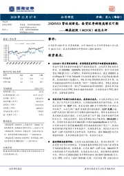 动态点评：2020M11营收创新高，备货旺季持续高增长可期