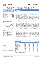 聚焦与深耕持续发力，销售稳步增长