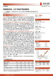 非公开发行股票顺利发行事项点评:配售顺利完成,大尺寸电池产能加速释放