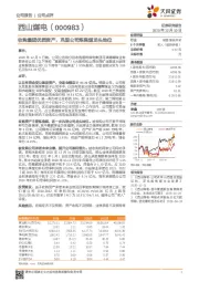 收购集团优质资产，巩固公司炼焦煤龙头地位