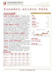 乘光伏玻璃东风，超白王者归来，弹性首选