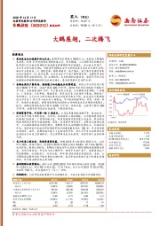 大鹏展翅，二次腾飞