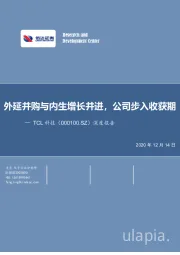 外延并购与内生增长并进，公司步入收获期