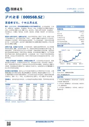 国窖新百亿，十四五再出发
