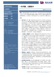 一体两翼，羽翼渐丰