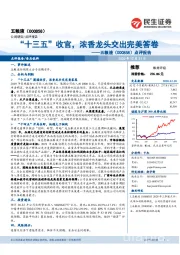 点评报告:“十三五”收官,浓香龙头交出完美答卷