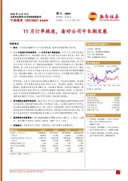 11月订单提速，看好公司中长期发展