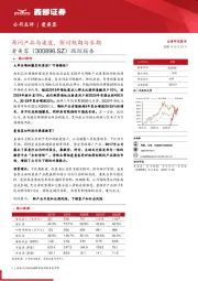 跟踪报告：再问产品与渠道，探讨短期与长期