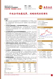 外延合作拓展边界，战略协同共促增长