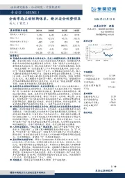 全面布局主动防御体系，新兴安全优势明显